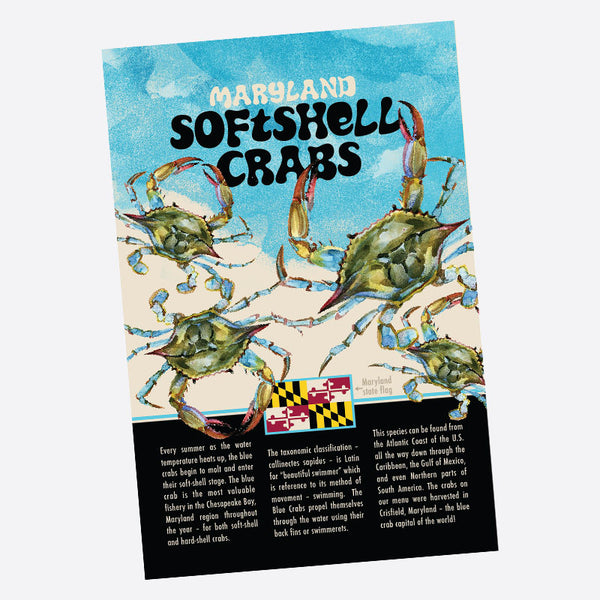 Table Card (Softshell) [200]